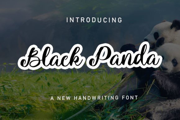 Black Panda Font: Handwritten Elegance