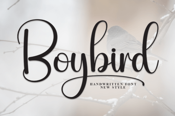 Boybird: A Stylish Script Font for Business