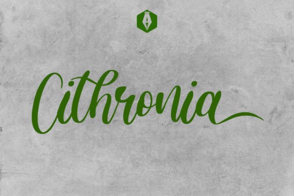 Cithronia Brush: A Designer’s Honest Take